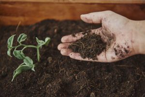 Indian Agricultural Soil