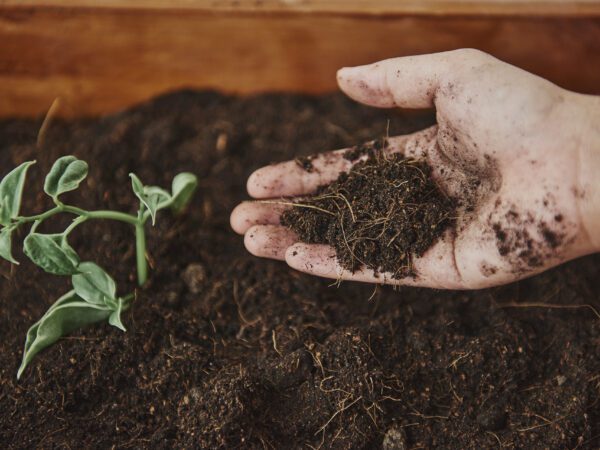 Indian Agricultural Soil